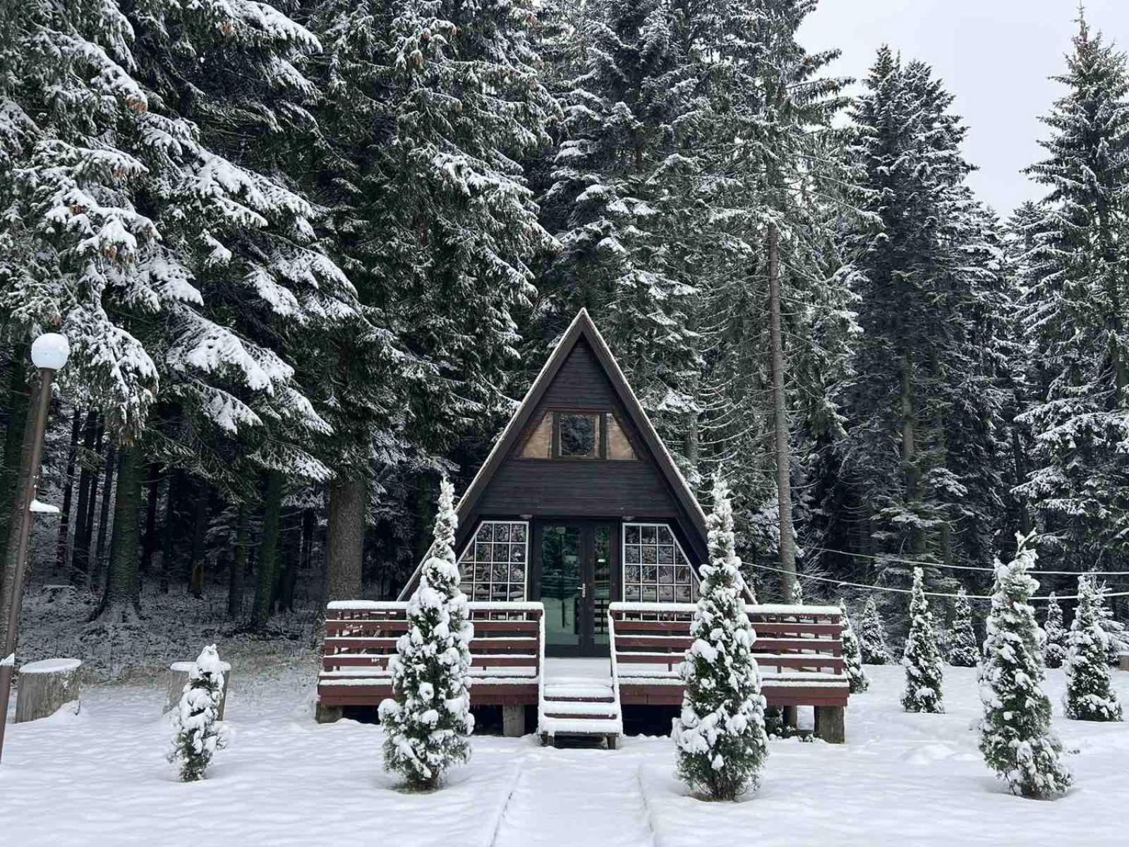 Villas Mura With Spa & Hot Swimming Pool Borovets Exteriör bild