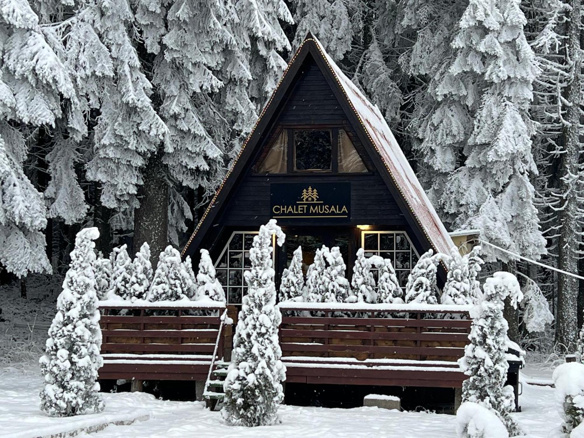 Villas Mura With Spa & Hot Swimming Pool Borovets Exteriör bild